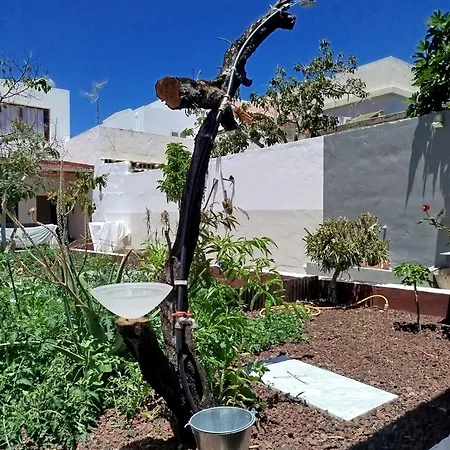 Susa And Pepe Garden And House 3* Agaete (Gran Canaria)